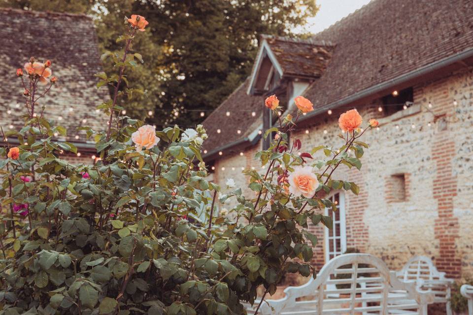 Muriel Pic Photographie