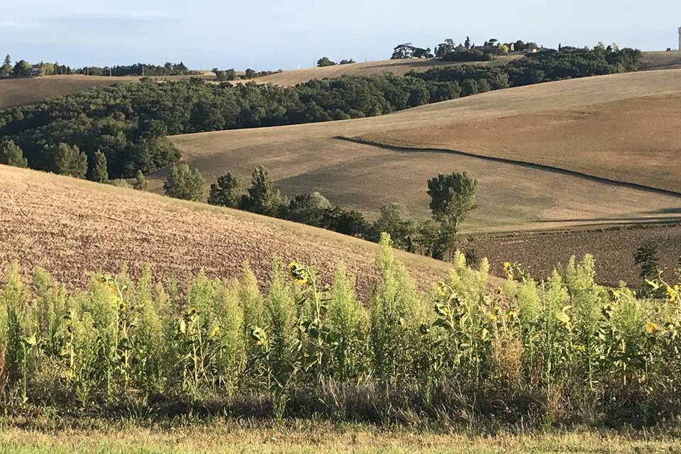 Vue sur les Coteaux