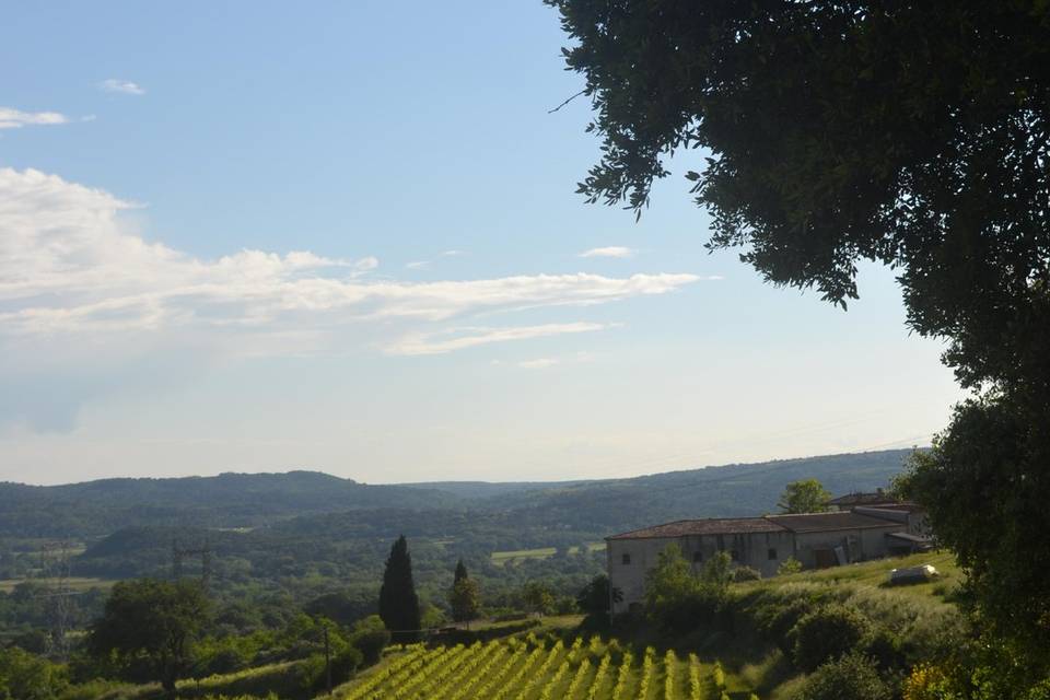 La vue
