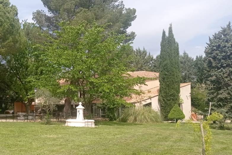 Oasis du Saule vue jardin