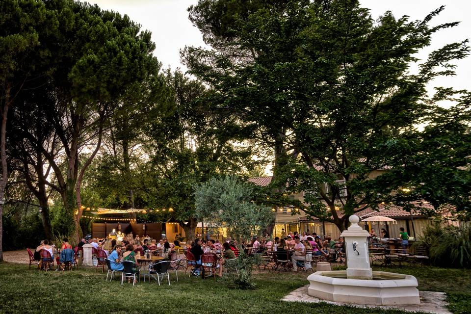 L'Oasis du Saule