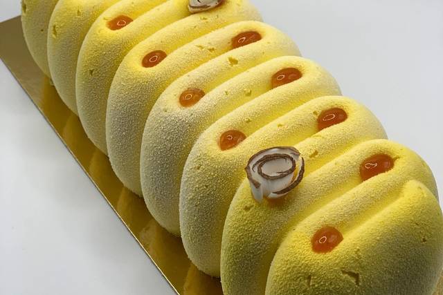 Bûche design velours