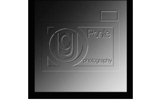 Ugo Ponte Photographe