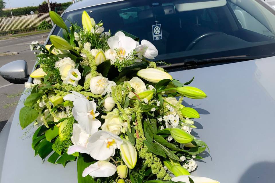 Décor de voiture