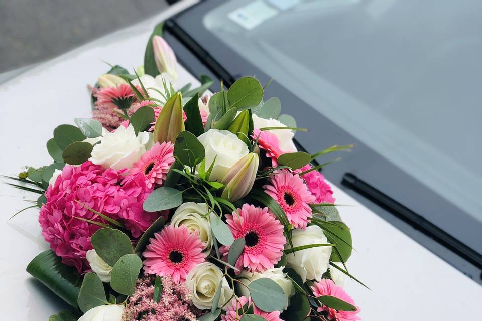 Décor de voiture