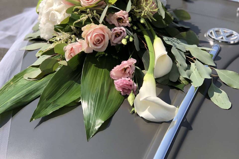 Décor de voiture
