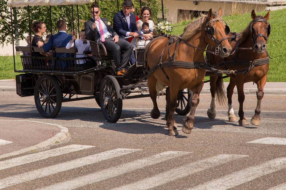 Sortie en calèche