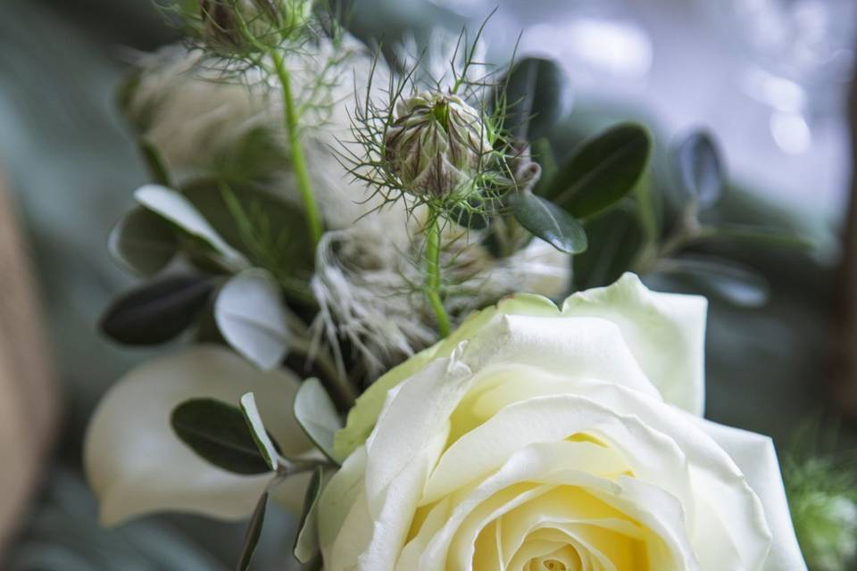 Zoom fleurs.