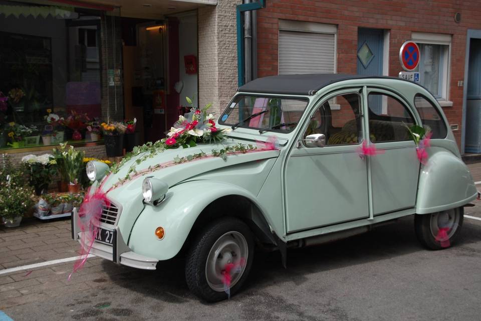 VOITURE   DECORATION  TOUT  CO