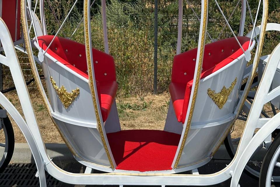Carrosse électrique princesse