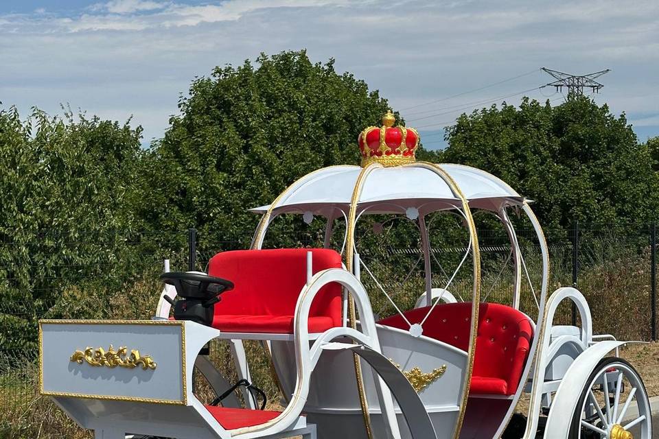 Carrosse électrique princesse