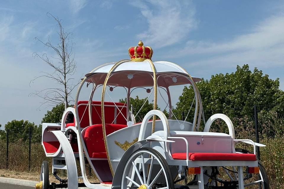 Carrosse électrique princesse