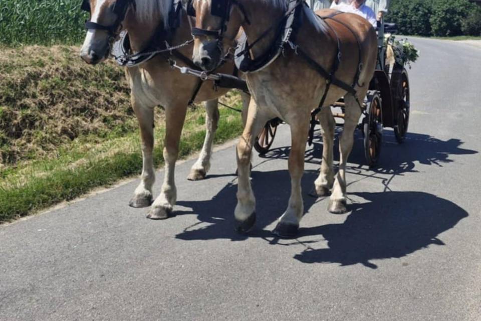 Mariage Audrey & Charly