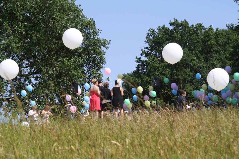 Cérémonie laïque prairie