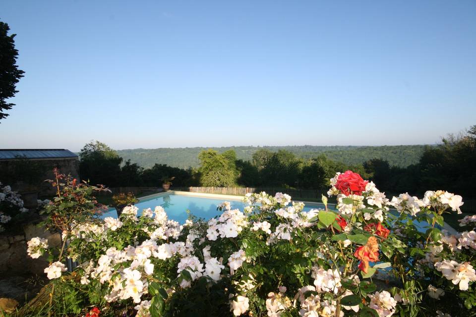 La Fourtonie - Piscine