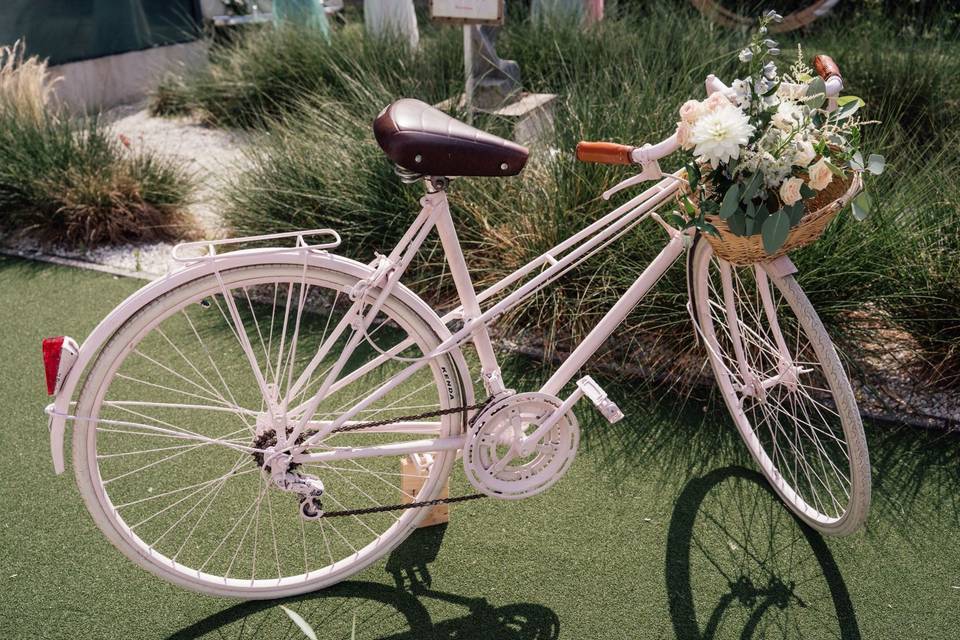 Mariage de Céline et Hadi