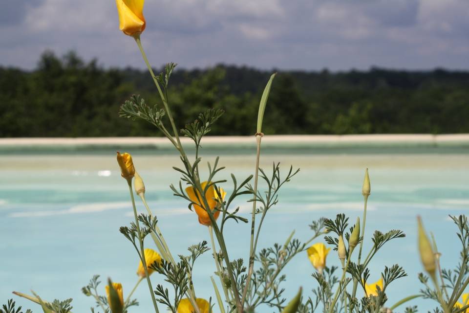 Vue depuis la piscine