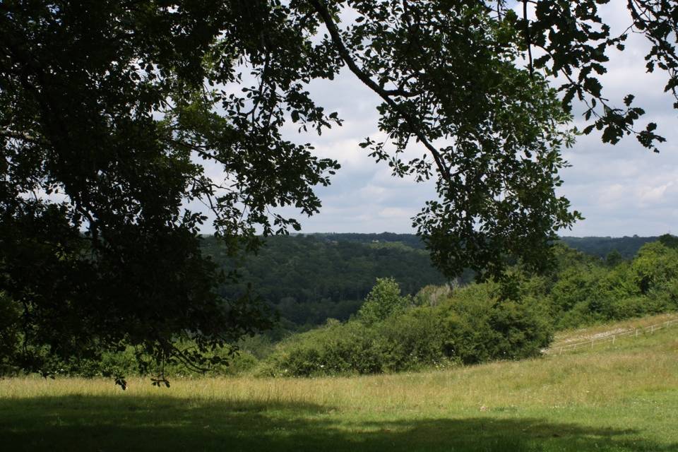 Vue depuis la prairie