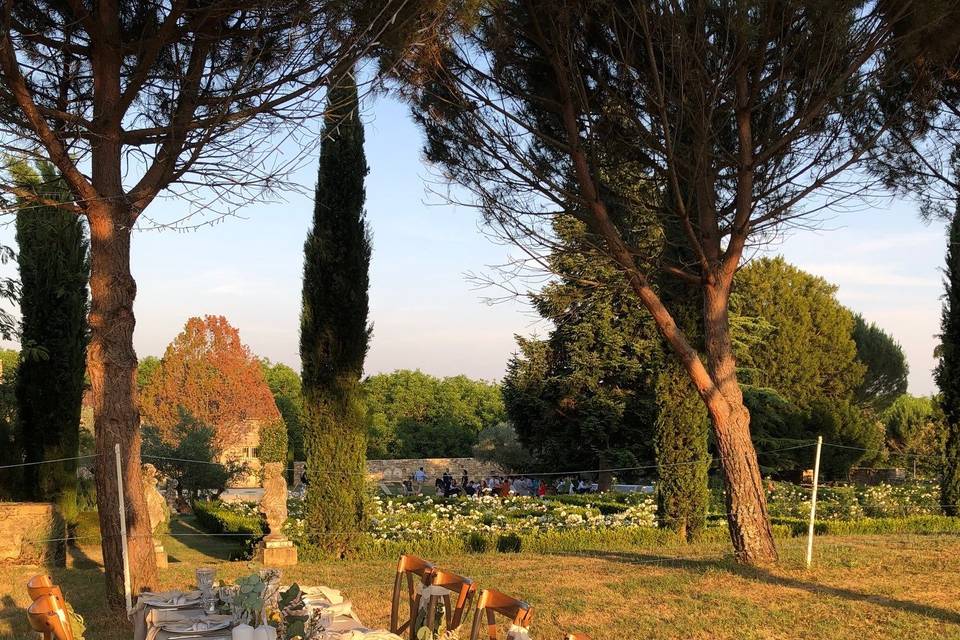 Repas dans l'allée des pins