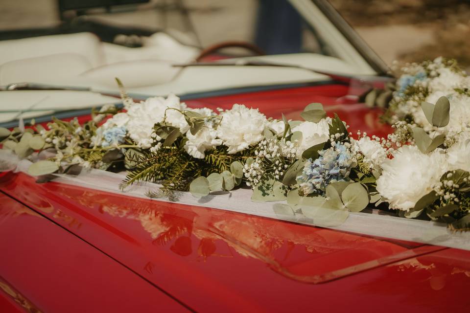 Fleurs