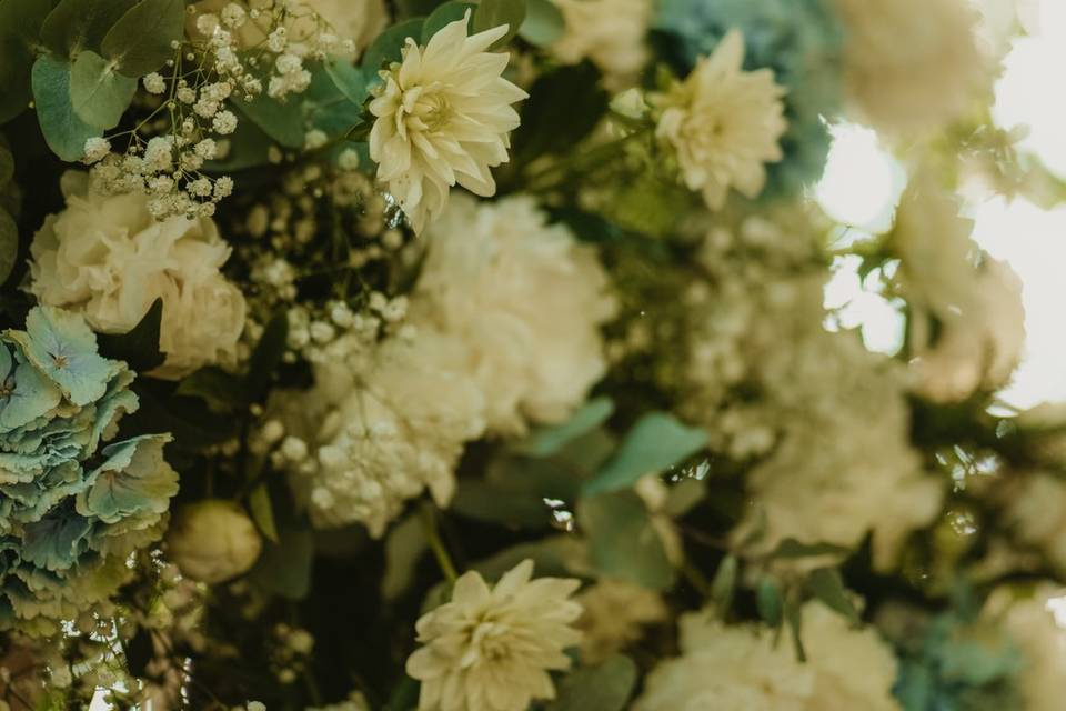 Fleurs
