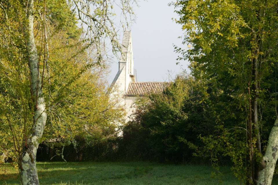 Vue de l'église de Blésignac