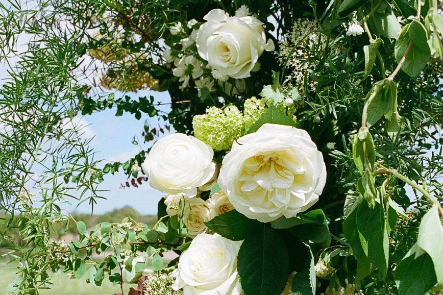 Petite Fleur