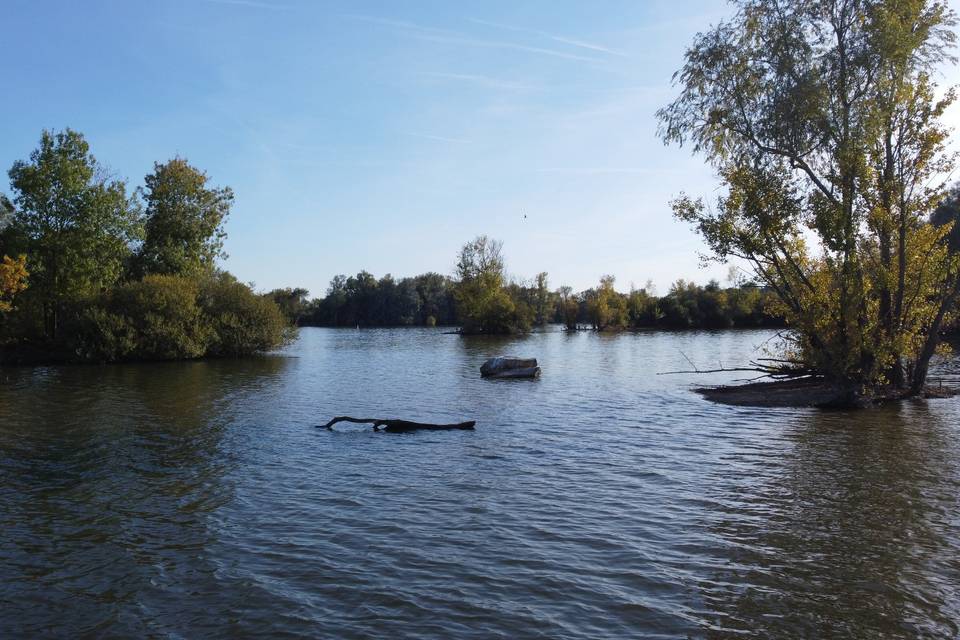 Le paysage aussi à l'honneur