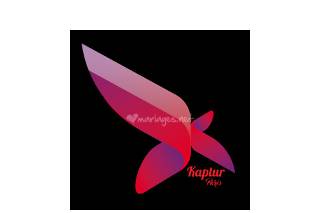 Kaptur Paris logo