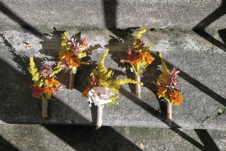 Boutonnière -