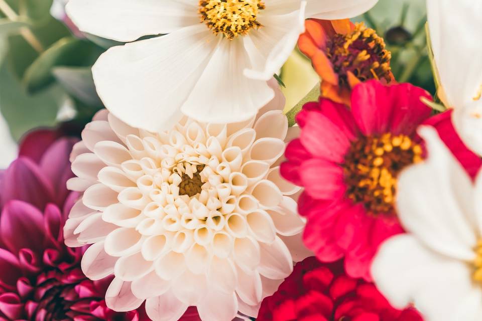 Bouquet coloré