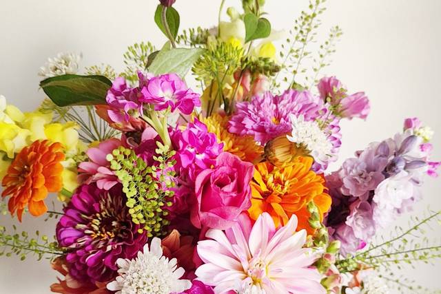 Dahlia Club