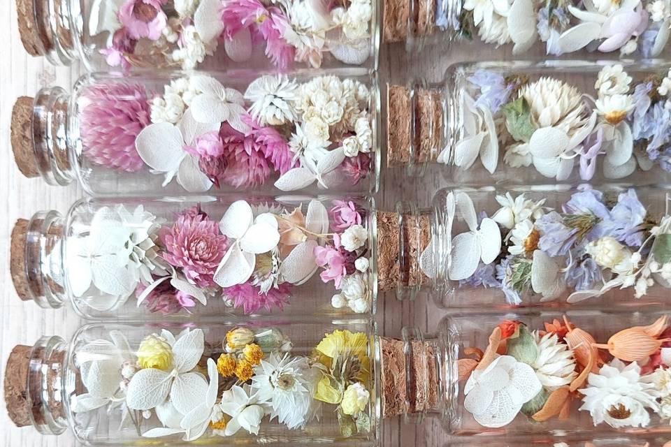 Dahlia club