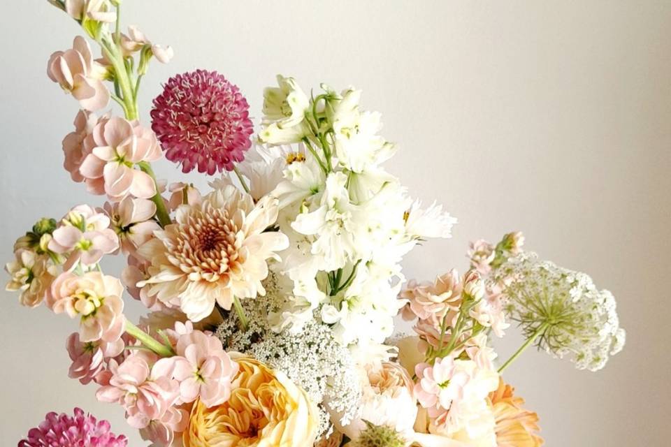 Dahlia club