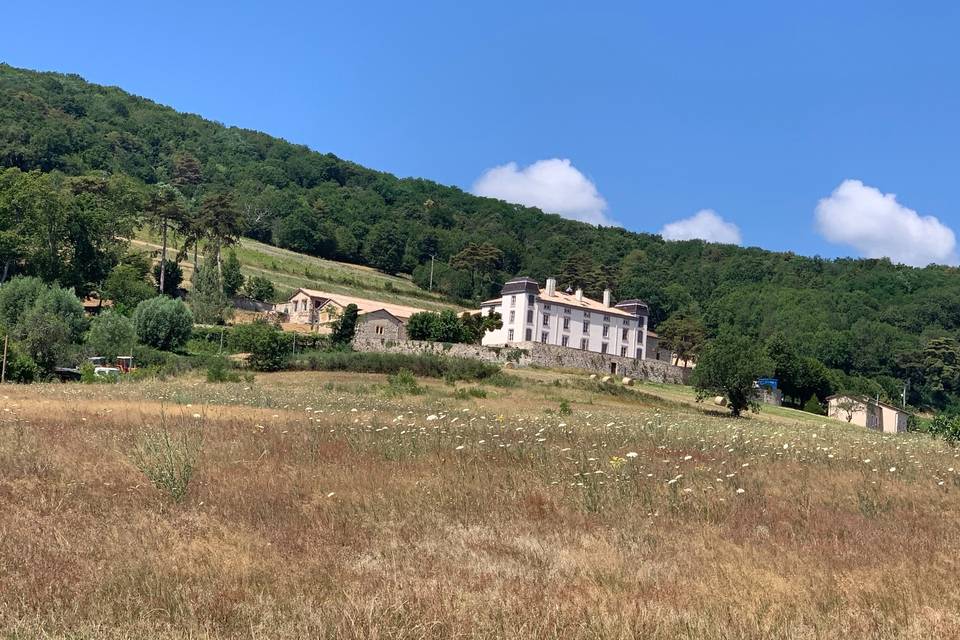 Château du Souzy