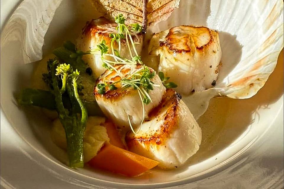 Assiette de St Jacques