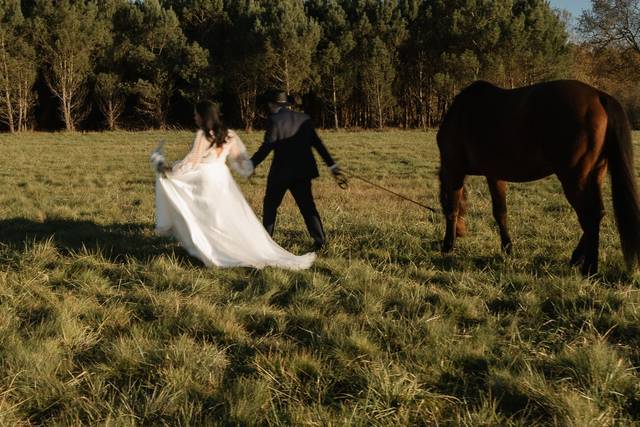Western wedding - M&Q