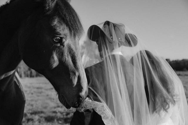 Western wedding - M&Q