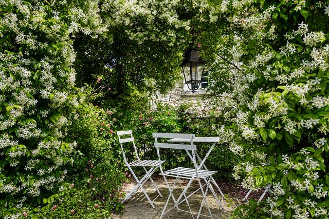 Domaine de Montin - jardin