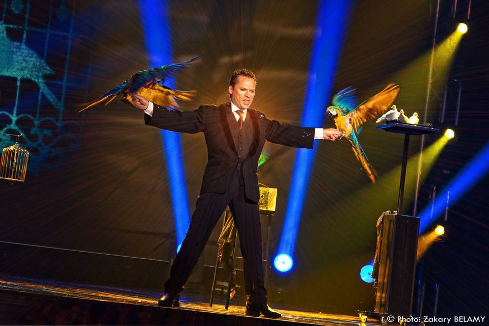 Rêve d'oiseaux