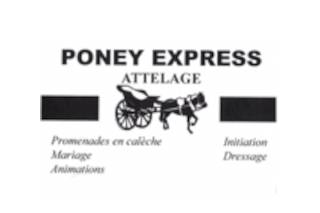 Poney Express Attelage