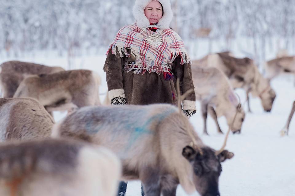 Laponie: Un sami + Rennes