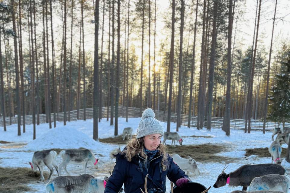 Laponie Ferme à Rennes