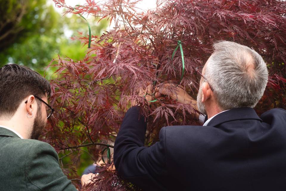 Cérémonie de l'arbre