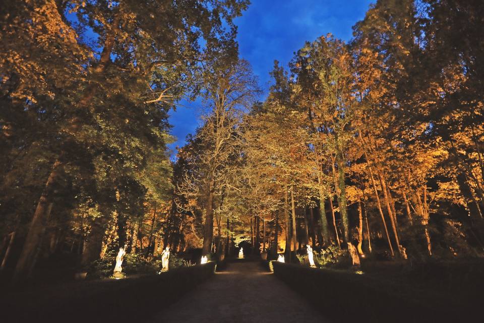 Le parc de nuit