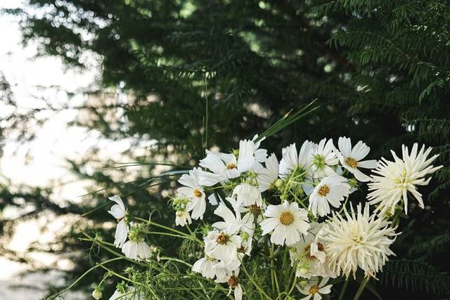 Mariage du 8 Août 2020