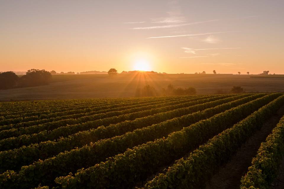 Domaine du Petit Clocher