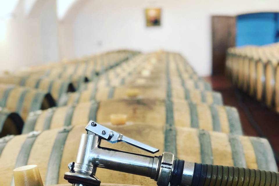 Domaine du Petit Clocher