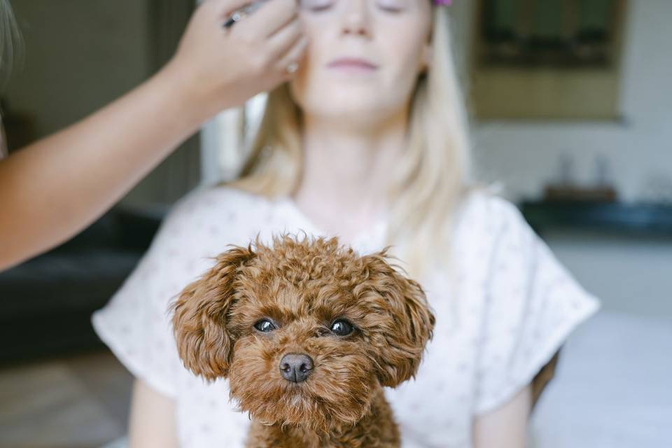 Préparatifs de d'Audrey