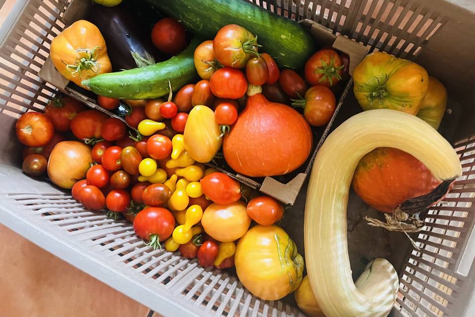Légumes !